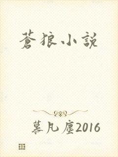 苍狼小说