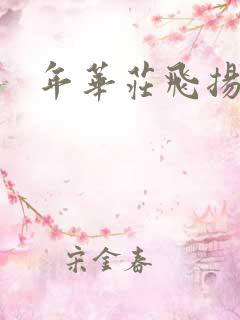 年华庄飞扬