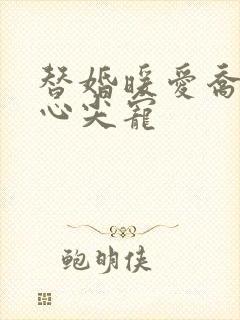 替婚暖爱乔少的心尖宠