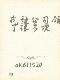 我被公司领导C了很多次