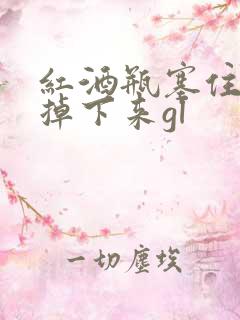 红酒瓶塞住不准掉下来gl