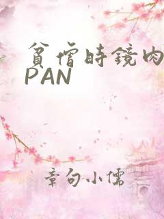 贫僧时镜肉补全PAN