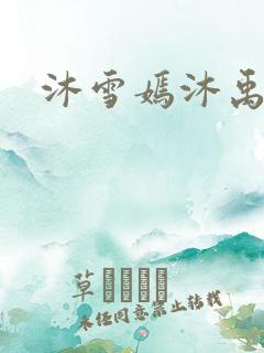 沐雪嫣沐禹小说