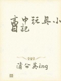 高中玩具小诗的日记