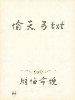 偷天弓txt