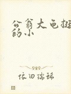 公翁大龟挺进我的小