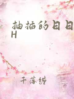 抽插的日日液液H