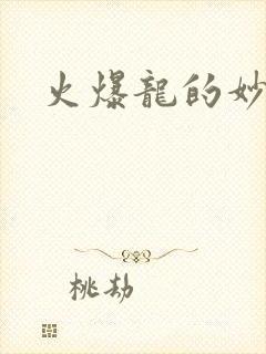火爆龙的妙管家