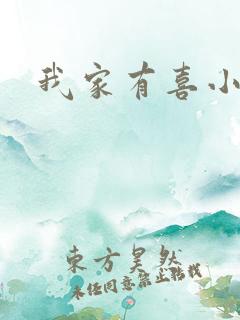 我家有喜小说