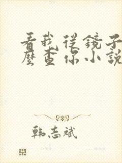 看我从镜子里怎么查你小说