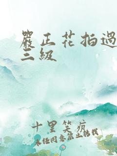 严正花拍过什么三级