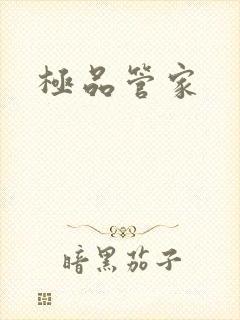 极品管家