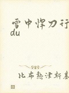 雪中悍刀行sodu