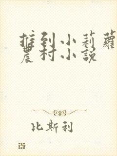 推到小莉萝稚嫩农村小说