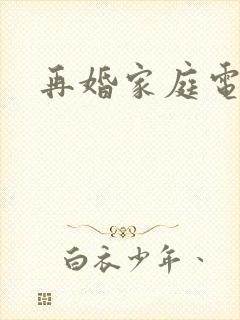 再婚家庭电视剧