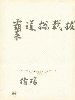 霸道总裁拔不出来