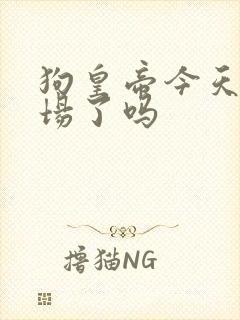 狗皇帝今天火葬场了吗