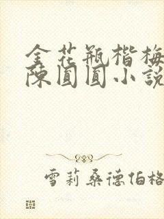 金花瓶楷梅花2陈圆圆小说