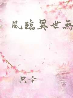 风临异世无弹窗