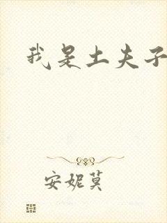 我是土夫子