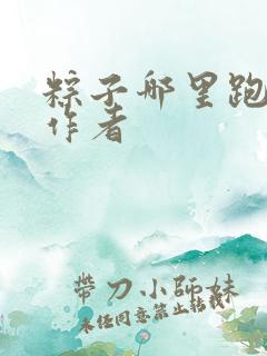 粽子哪里跑小说作者