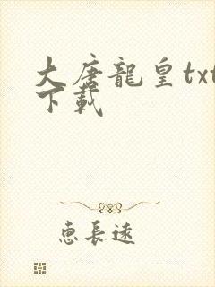 大唐龙皇txt下载