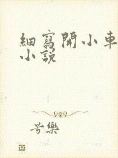 细写开小车车的小说