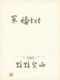 军婚txt