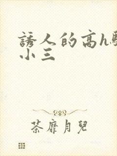 诱人的高h骚当小三