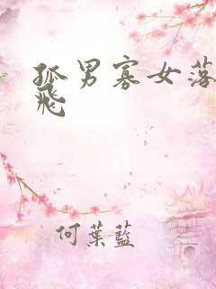 孤男寡女落瑛纷飞