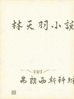 林天羽小说