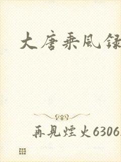 大唐乘风录
