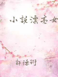 小说漂亮女局长