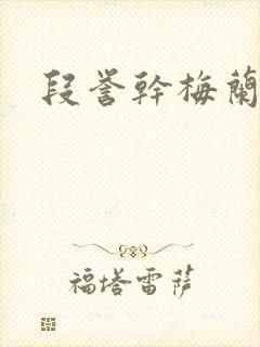 段誉干梅兰竹菊