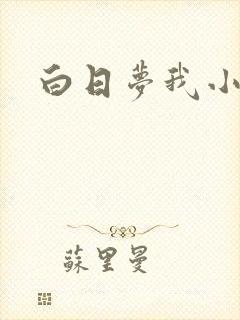 白日梦我小说