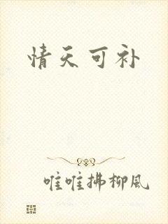 情天可补