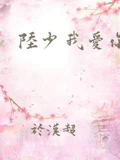 陆少 我爱你