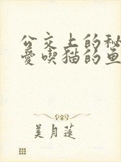 公交上的秘密 爱吃猫的鱼