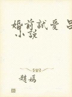 婚前试爱 吕颜 小说