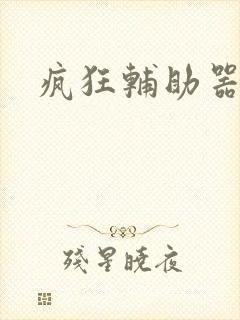 疯狂辅助器