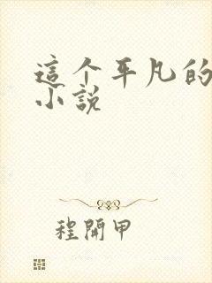 这个平凡的男子小说