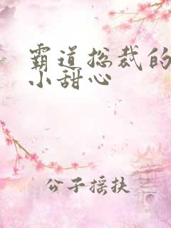 霸道总裁的宠爱小甜心