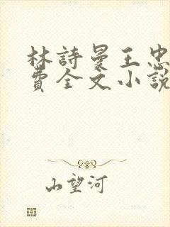 林诗曼王忠文免费全文小说的名称
