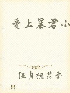 爱上暴君小甜心