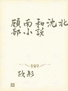 顾南和沈北是哪部小说