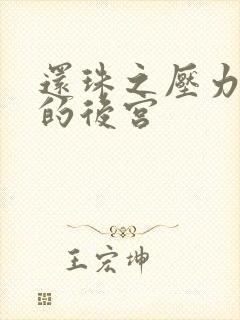 还珠之压力山大的后宫