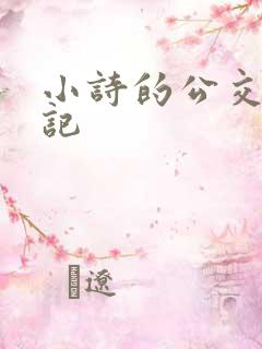 小诗的公交车日记