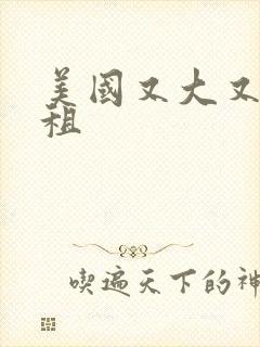 美国又大又长又租