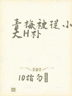 青梅被从小摸到大H补