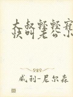 大叔轻轻宠宝贝快叫老公小说